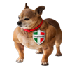 Chiquita